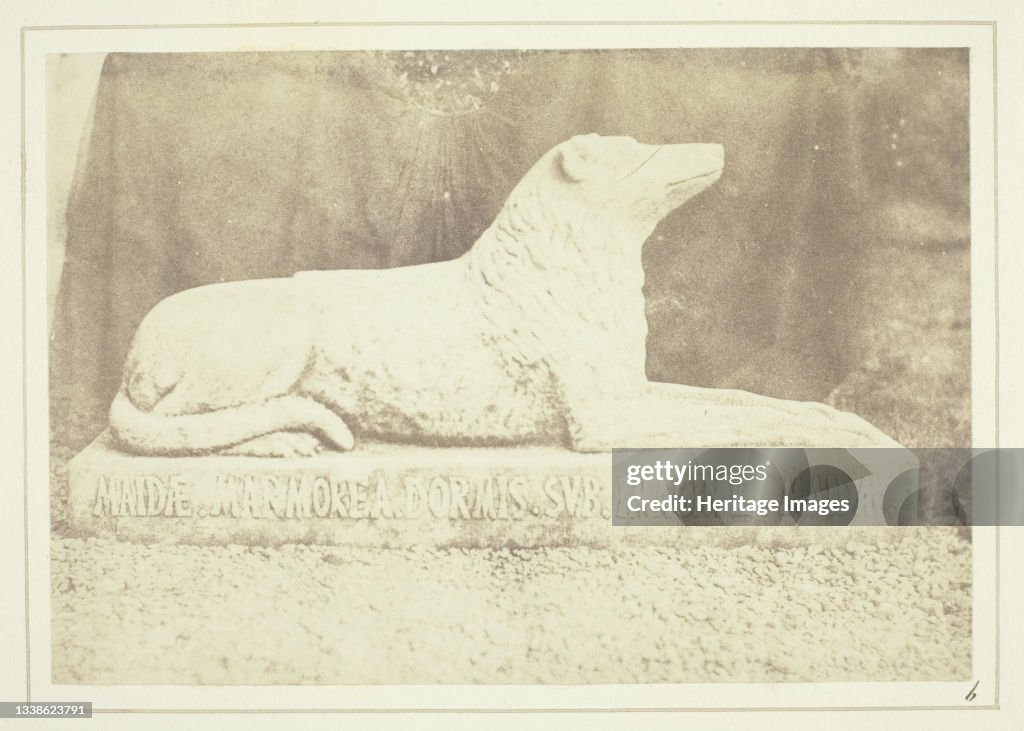 Effigy Of Sir W. Scotts Favourite Dog Maida,