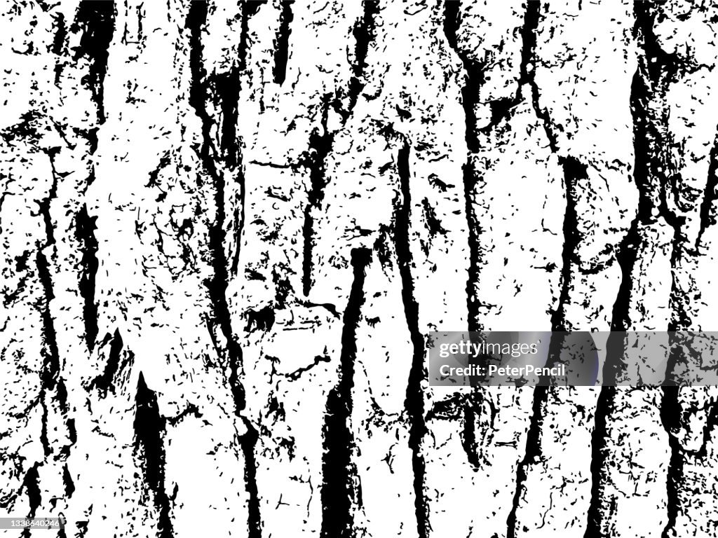 Tree Bark Texture Drawing