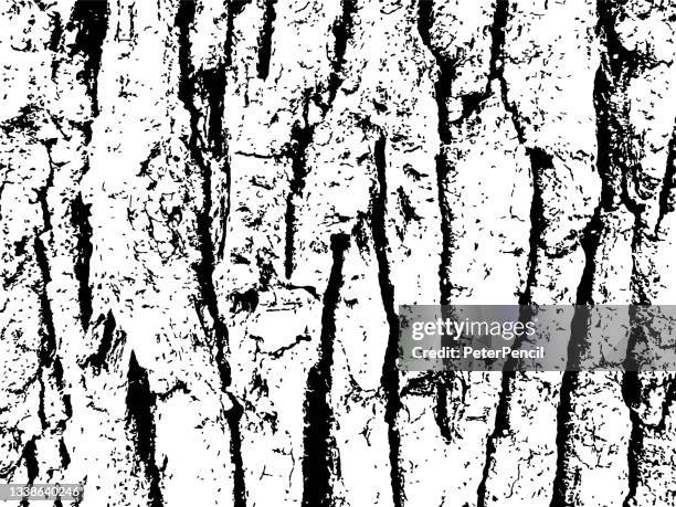 mold moss tree bark grunge texture. black dusty scratchy pattern. abstract grainy background. vector design artwork. textured effect. crack. - metall 幅插畫檔、美工圖案、卡通及圖標