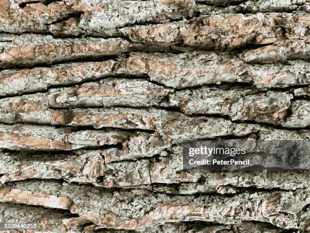 mold moss tree bark grunge texture. black dusty scratchy pattern. abstract grainy background. vector design artwork. textured effect. crack. - moss texture stock illustrations