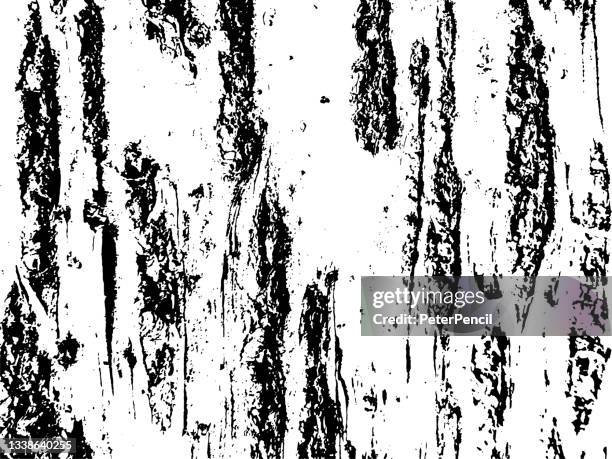 birch mold moss tree bark grunge texture. black dusty scratchy pattern. abstract grainy background. vector design artwork. textured effect. crack. - moss texture stock illustrations