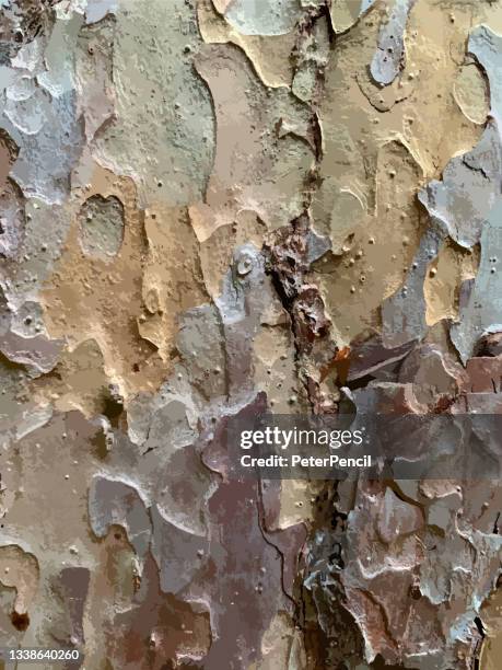 mold moss tree bark grunge texture. black dusty scratchy pattern. abstract grainy background. vector design artwork. textured effect. crack. - metall 幅插畫檔、美工圖案、卡通及圖標