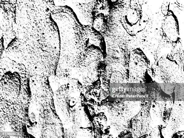 mold moss tree bark grunge texture. black dusty scratchy pattern. abstract grainy background. vector design artwork. textured effect. crack. - tree bark texture stock illustrations