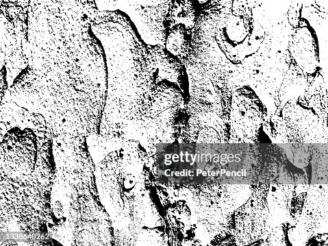 Mold Moss Tree Bark Grunge Texture. Black Dusty Scratchy Pattern. Abstract Grainy Background. Vector Design Artwork. Textured Effect. Crack. Mold Moss Tree Bark Grunge Texture. Black Dusty Scratchy Pattern. Abstract Grainy Background. Vector Design Artwork. Textured Effect. Crack.