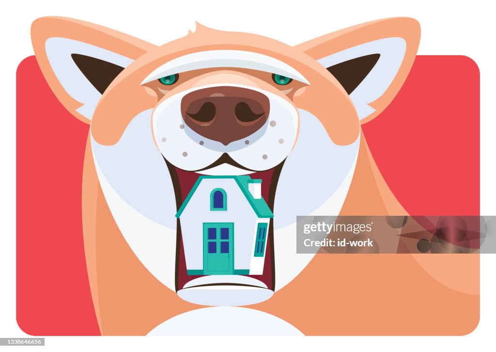 Dog holding house