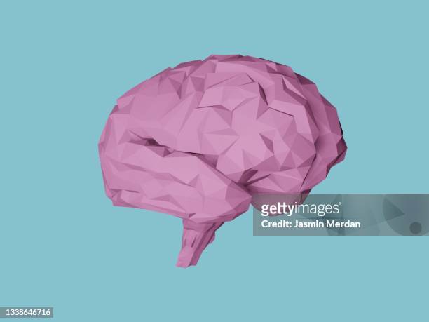 paper brain low poly - human internal organs 3d model stock pictures, royalty-free photos & images