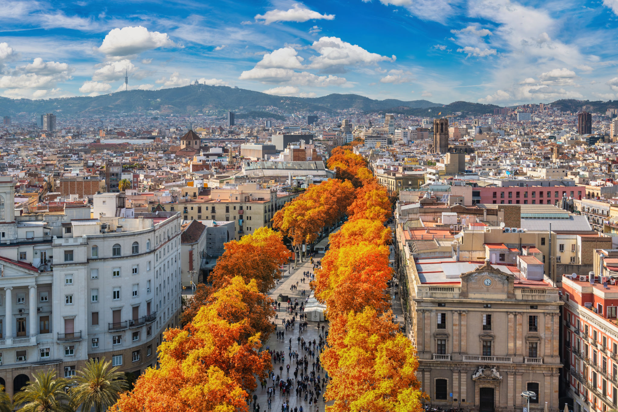 Barcelona Spain, high angle view city skyline at La Rambla street with autumn foliage season Barcelona Spain, high angle view city skyline at La Rambla street with autumn foliage season