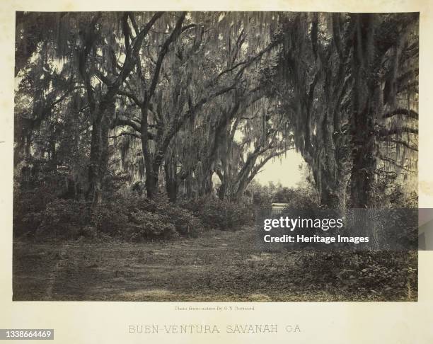 Buen-Ventura Savannah, Ga., 1866. Albumen print, plate 48 from the album 'Photographic Views of the Sherman Campaign' . Artist George N. Barnard.