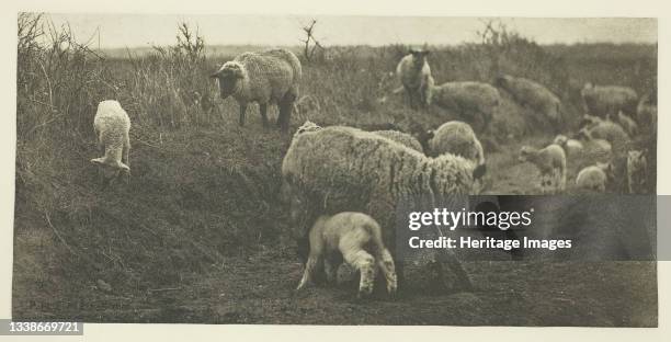 March Pastoral , circa 1883/87, printed 1888. A work made of photogravure, pl. Xii from the album 'pictures of east anglian life' . Artist Peter...