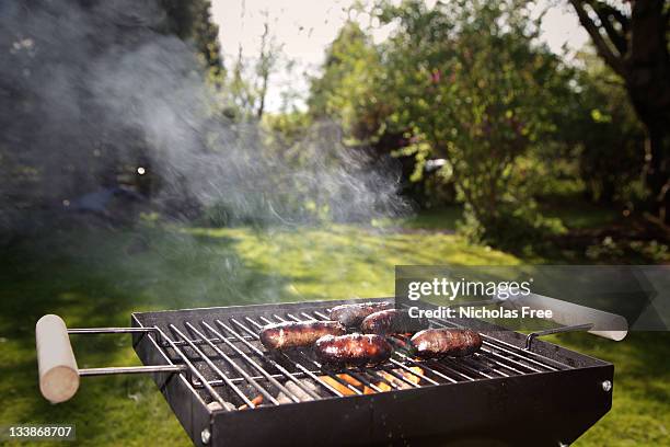 summer evening barbeque - barbecue grill stock pictures, royalty-free photos & images