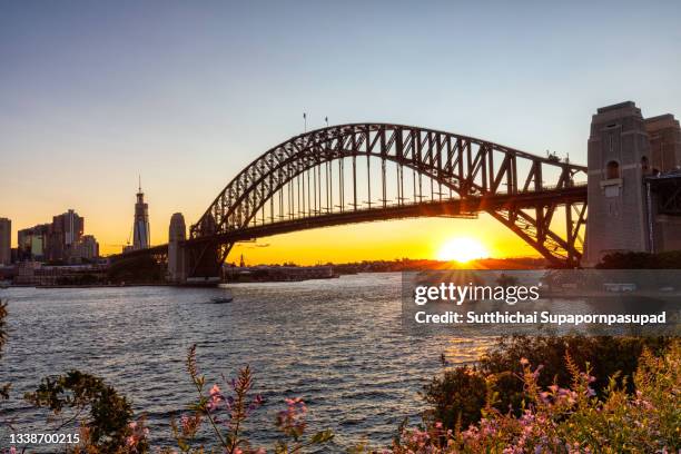 sydney harbour bridge with sunset. - sydney harbour bridge stock-fotos und bilder