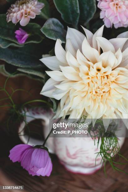 dahlia 'café au lait' in a basket - combinação cor de pele imagens e fotografias de stock