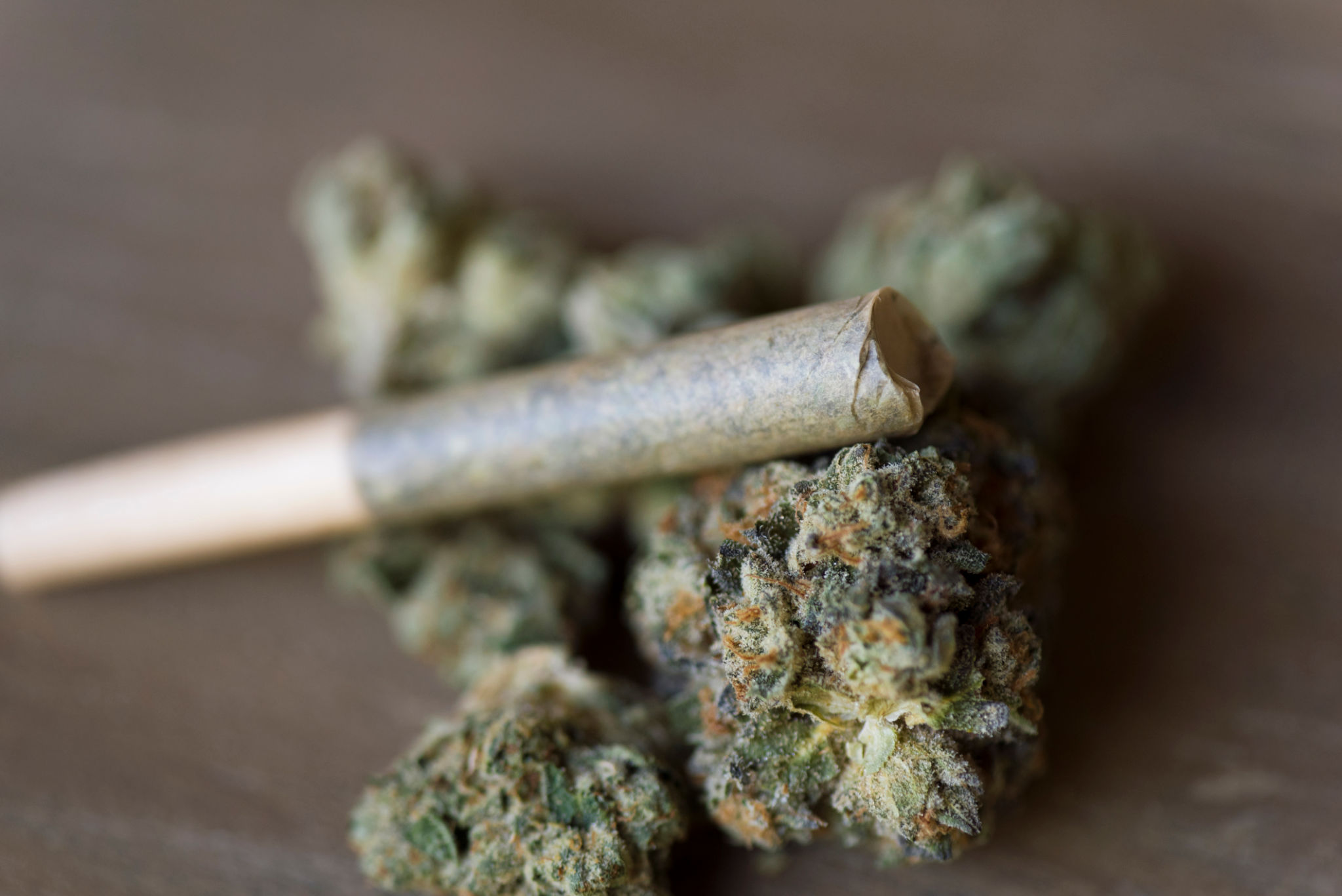 local cannabis products