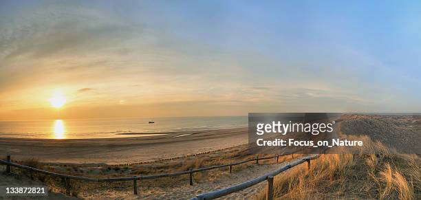 spiaggia di tramonto - olanda settentrionale foto e immagini stock