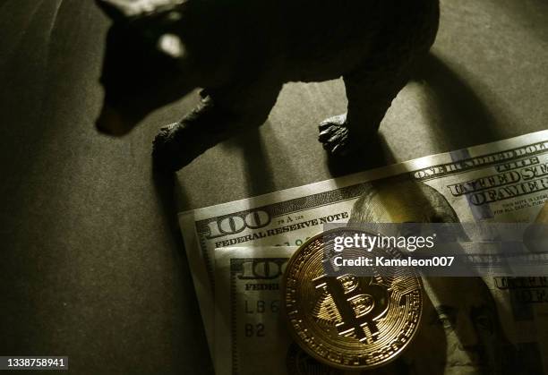 bitcoin bär - börsenbaisse stock-fotos und bilder