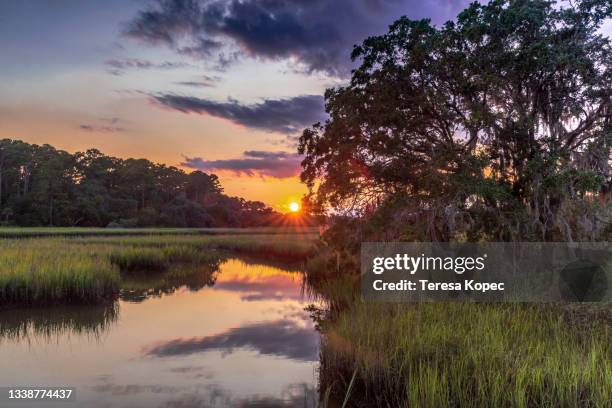 sunset over salt marsh, edisto island, south carolina - tidal marsh stock pictures, royalty-free photos & images