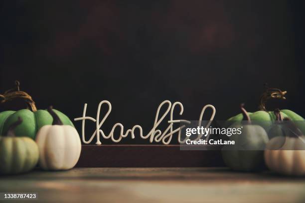 sfondo del ringraziamento e dell'autunno con una varietà di zucche verdi e verde acqua e segno thankful - gratitude foto e immagini stock