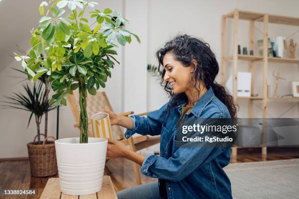 mujer joven disfrutando mientras riega plantas en casa - regar fotografías e imágenes de stock