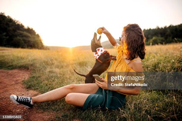 fangen, wenn sie können - man walking dog stock-fotos und bilder