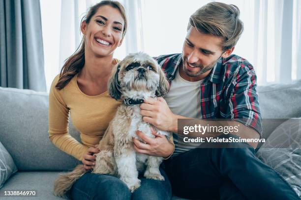 schönes paar und ihr haustier entspannen sich zu hause. - mann frau hund zuhause stock-fotos und bilder