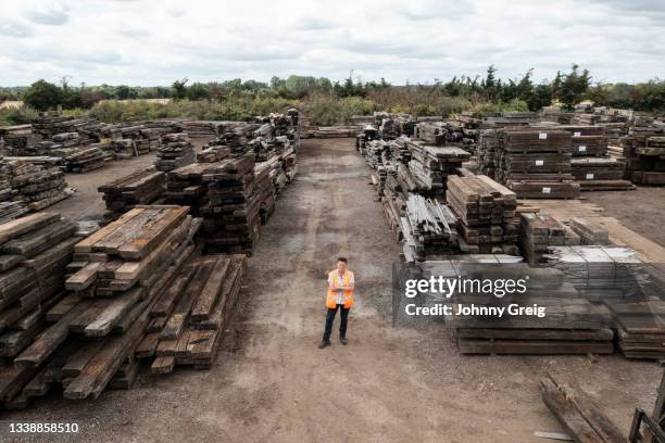 portrait of reclamation entrepreneur standing in lumberyard - femalefocuscollection stock pictures, royalty-free photos & images