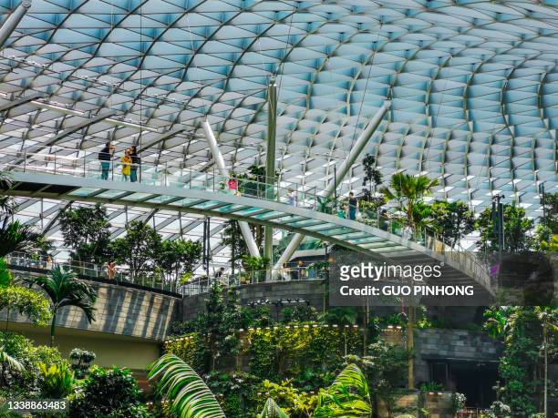 jewel changi airport - changi airport stock pictures, royalty-free photos & images