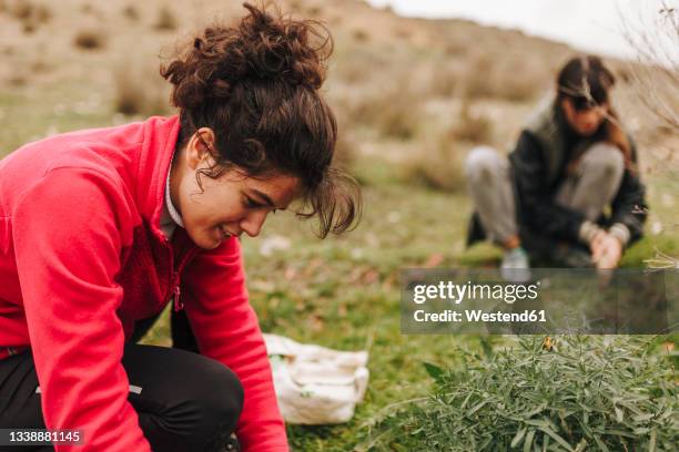 female friends planting plant on land - aufforstung stock-fotos und bilder