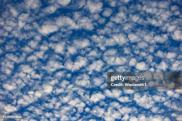 cloudscape of altocumulus clouds - altocúmulo fotografías e imágenes de stock