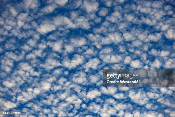 cloudscape of altocumulus clouds - altocumulus stock pictures, royalty-free photos & images
