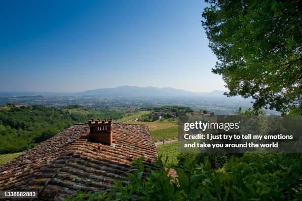 valgiano, lucca - tuscany, italy - boxwood stock pictures, royalty-free photos & images