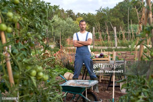 confident farmer standing with arms crossed at agricultural field - farmer arms crossed stock pictures, royalty-free photos & images