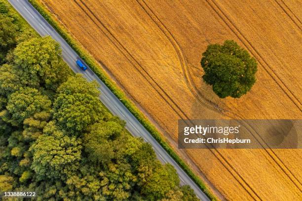 vista aerea dei campi estivi, staffordshire, inghilterra, regno unito - ripresa di drone foto e immagini stock