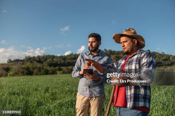 agriculteur et agronome regardant une tablette dans la plantation. - agriculture innovation photos et images de collection