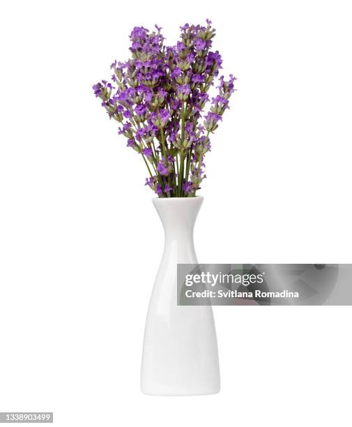 fresh lavender bouquet against white - flower vase stock pictures, royalty-free photos & images