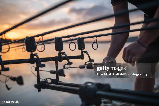 pesca de carpa, preparación de equipos de pesca al atardecer. - carp fotografías e imágenes de stock
