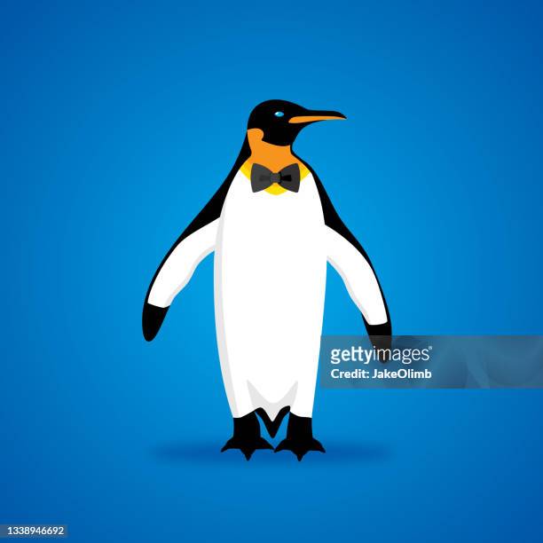 penguin bowtie icon flat - royal penguin stock illustrations