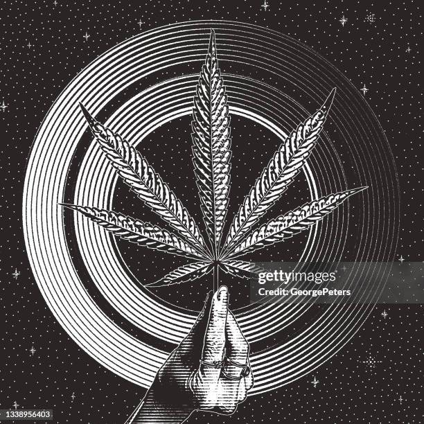 hand holding cannabis leaf - hands touching window stock illustrations