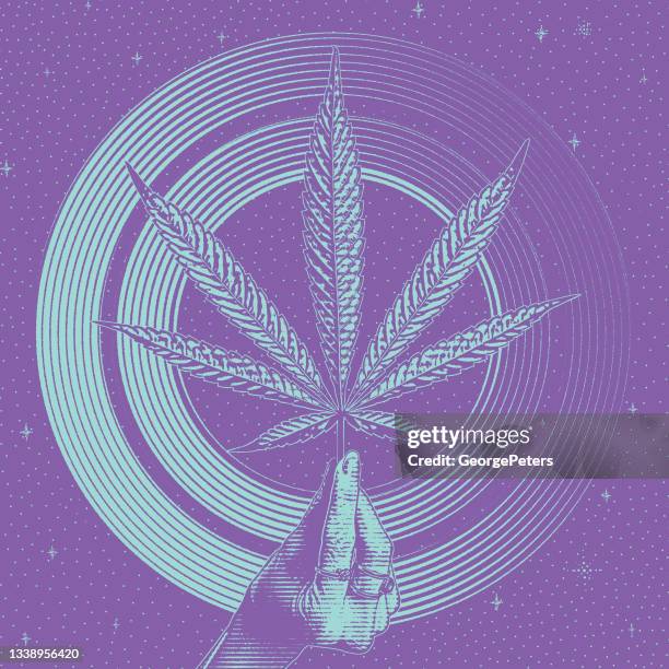 hand holding cannabis leaf - hands touching window stock illustrations