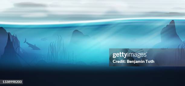 underwater ocean scene background of reefs with scuba diver - coral reef cartoon stock illustrations