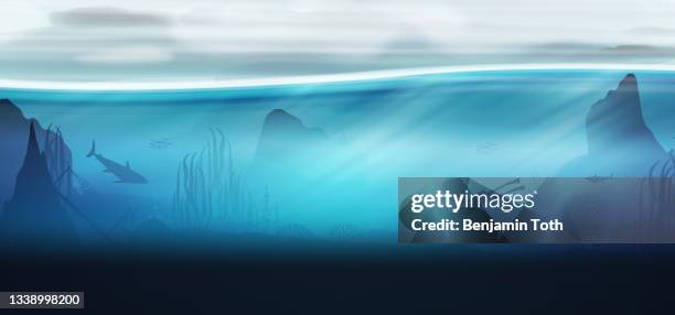 underwater ocean scene background of reefs with scuba diver - shark underwater stock illustrations