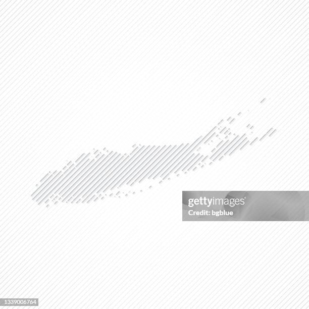 stockillustraties, clipart, cartoons en iconen met long island map designed with lines on white background - nyc map vector