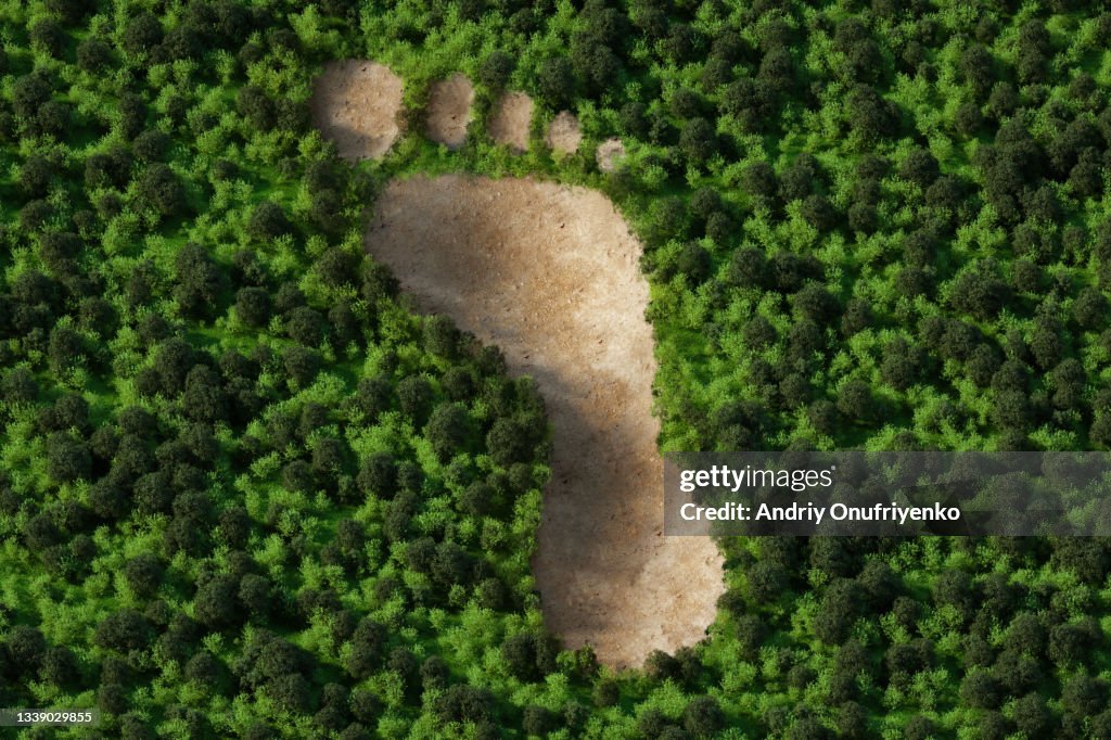 Forest chopped in shape of human foot path