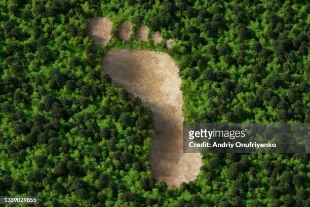 forest chopped in shape of human foot path - 零廢棄 個照片及圖片檔