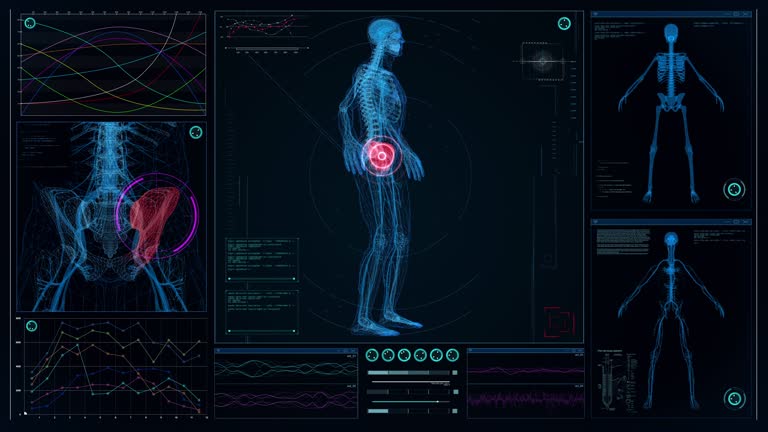 Body Tech Animation Human Body Chart Videos and HD Footage - Getty Images
