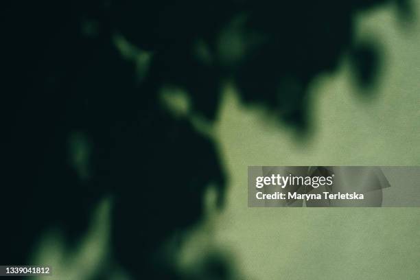 universal natural background with the shadow of a tree branch. - schaduw in het middelpunt stockfoto's en -beelden