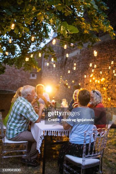 gathering of friends over dinner in backyard - garden lighting stock pictures, royalty-free photos & images