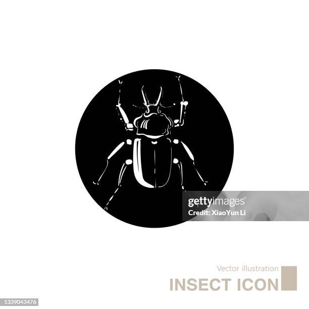 vector drawn insect icon. - galax stock illustrations