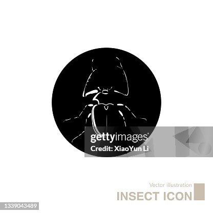 Vector drawn insect icon. Vector drawn insect icon.