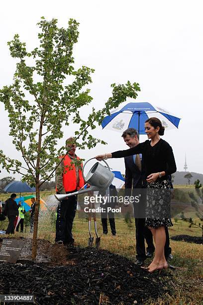 Princess Mary of Denmark and Prince Frederik of Denmark water a Field Maple tree they planted at the Arboretum on November 22, 2011 in Canberra,...