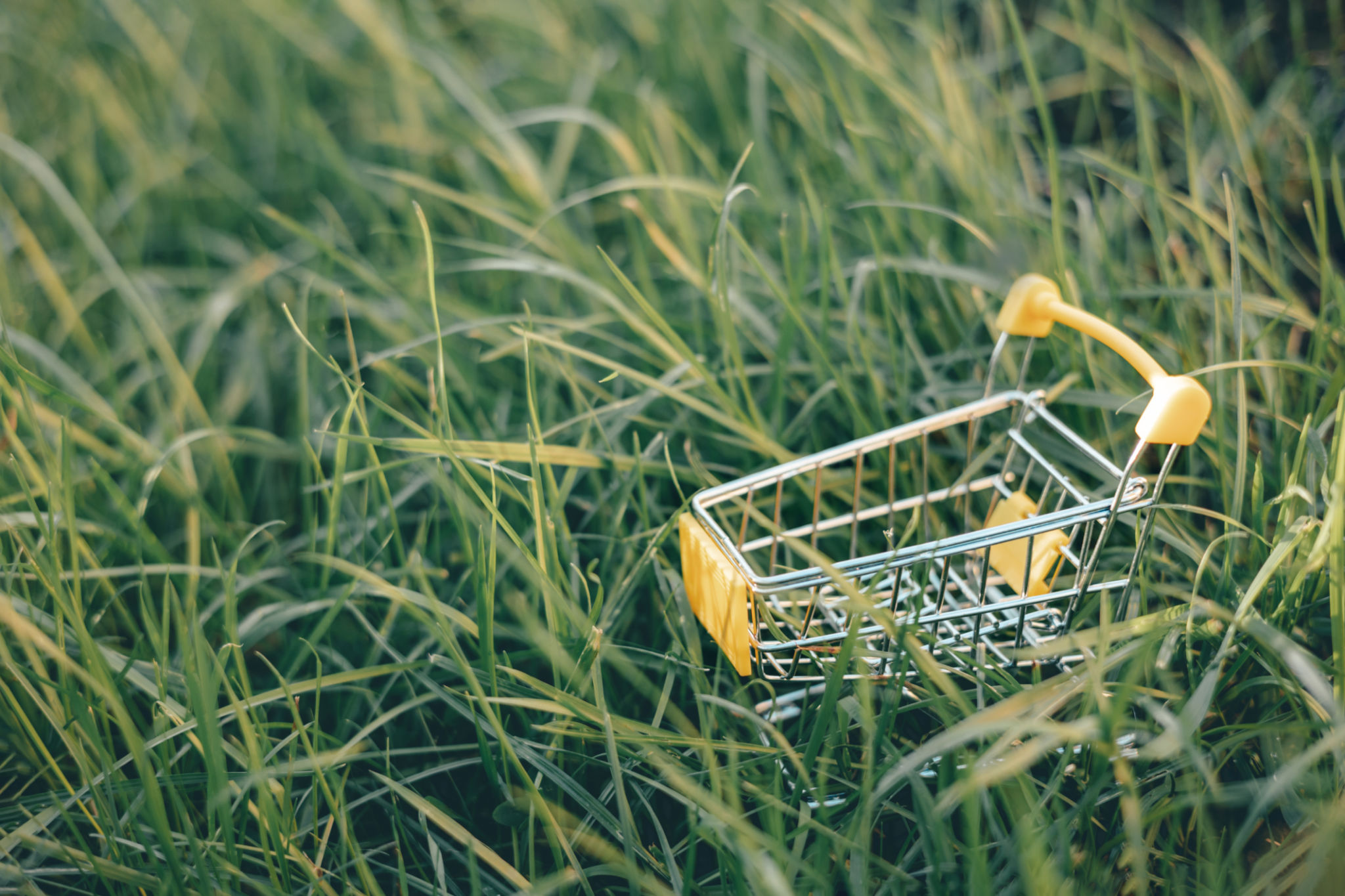 sustainable shopping